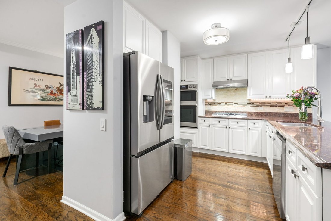 Condo in Chicago, Illinois, United States 5 - 18394702