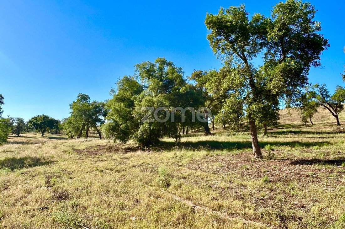 Terreno a Santiago do Cacem, Santa Cruz e Sao Bartolomeu da Serra, Setúbal Municipality, Portogallo 5 - 18396977