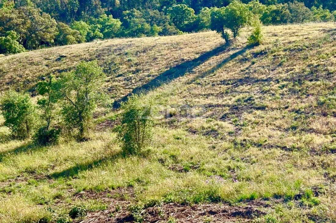 Land in Santiago do Cacem, Santa Cruz e Sao Bartolomeu da Serra, Setubal, Portugal 1 - 18396977