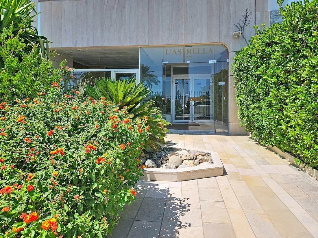 Apartment in Nice, Provence-Alpes-Côte d'Azur, France 5 - 18393223
