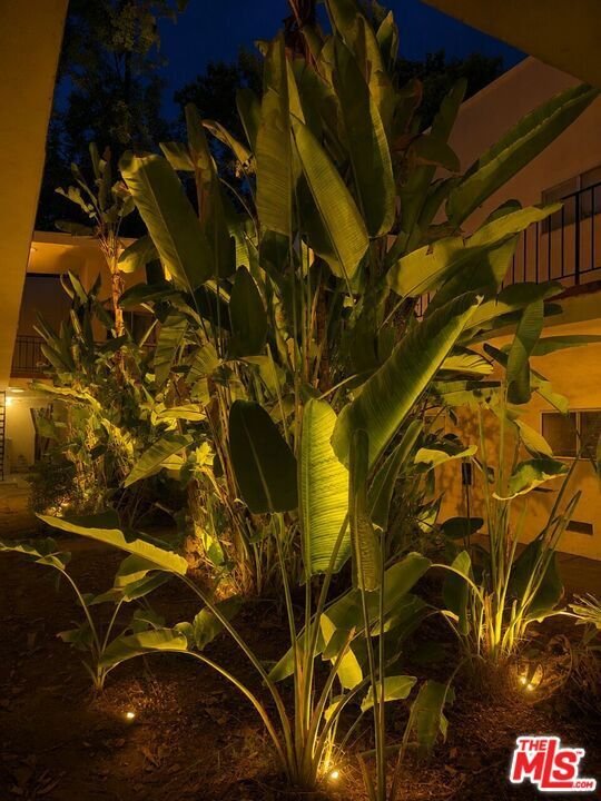 Los Angeles, California, United States 5 - 18370011