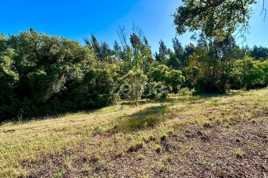 Land in Santiago do Cacem, Santa Cruz e Sao Bartolomeu da Serra, Setubal, Portugal 4 - 18396977