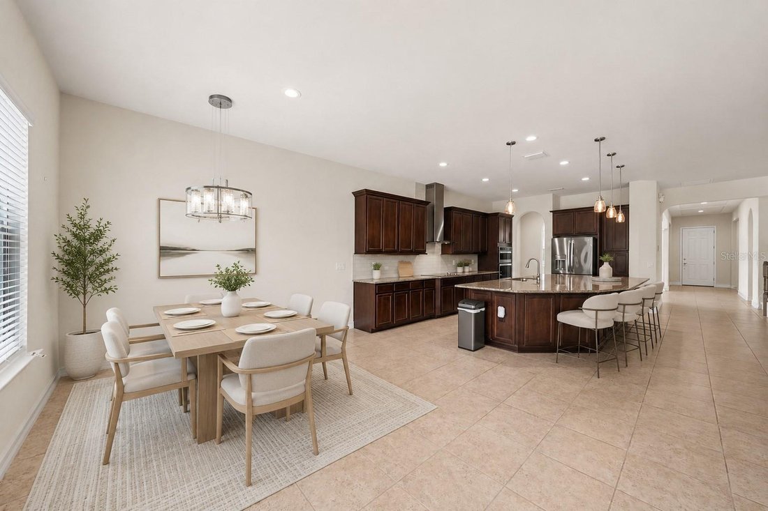 House in Lutz, Florida, United States 5 - 18395102