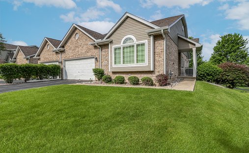 Townhouse in Orland Park, Illinois, United States 1