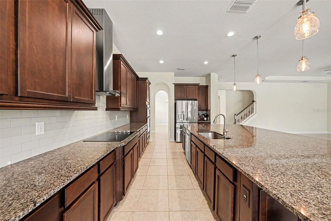 House in Lutz, Florida, United States 4 - 18395102