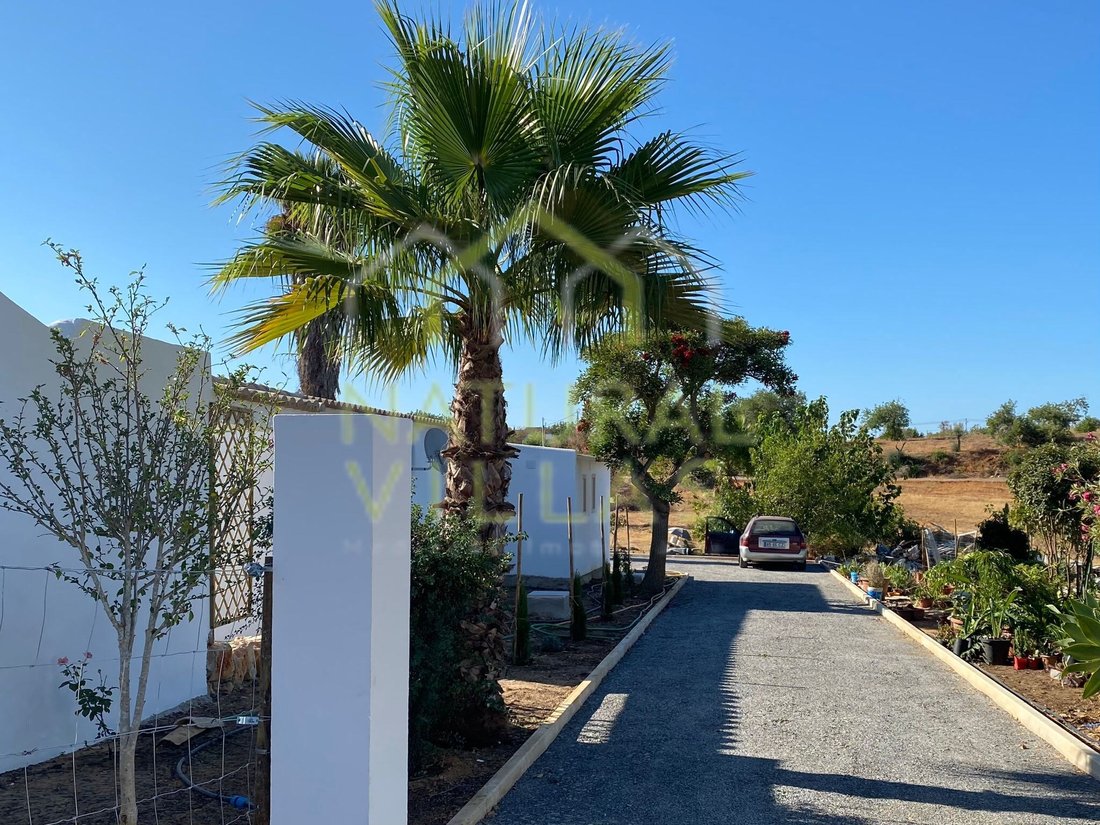 Finca in Pechao, Algarve, Portugal 1 - 18393166