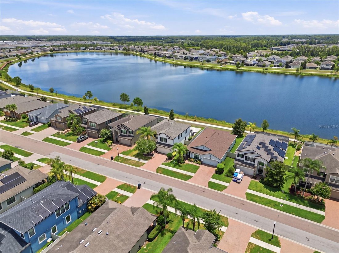 House in Land O' Lakes, Florida, United States 5 - 18395621