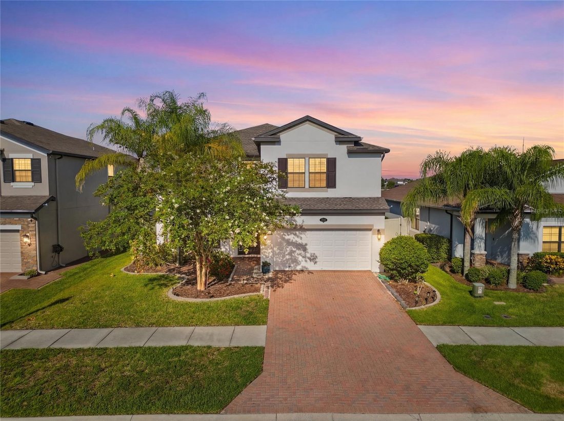 House in Land O' Lakes, Florida, United States 1 - 18395621