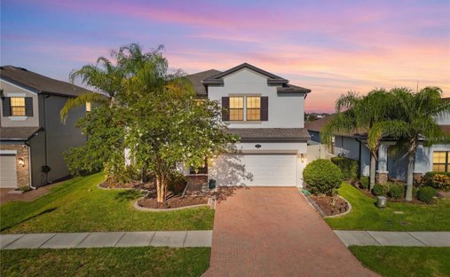 House in Land O' Lakes, Florida, United States 1