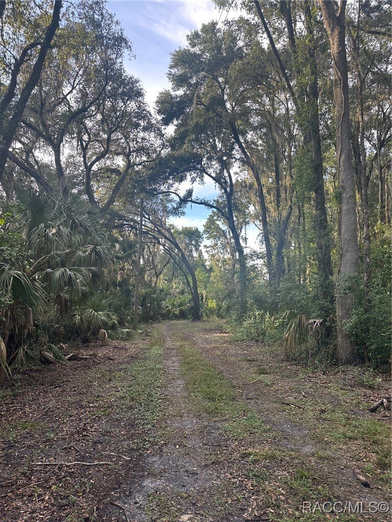 House in Inverness, Florida, United States 3 - 16273713