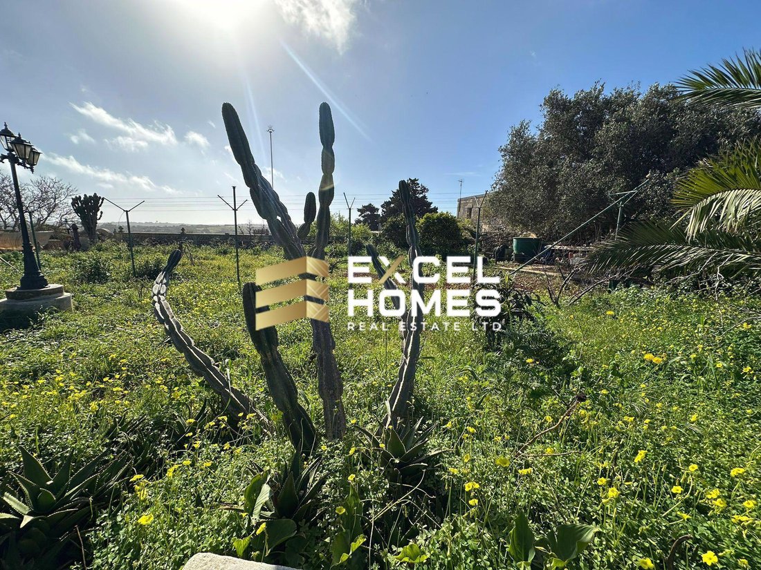 Bungalow in Buskett Woodlands, Malta 5 - 17264386