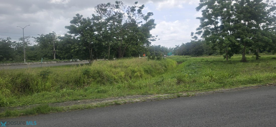 Land in Hormigueros, Hormigueros, Puerto Rico 1 - 18391904