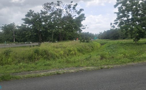 Land in Hormigueros, Hormigueros, Puerto Rico 1