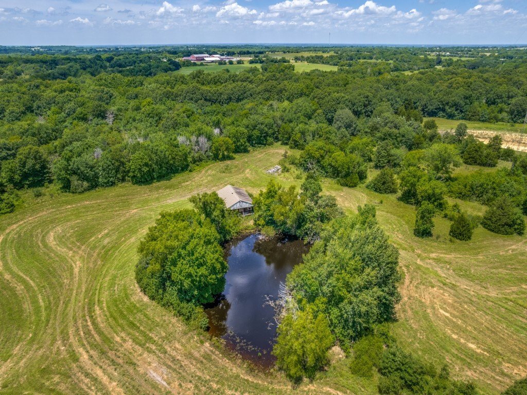 Land in Celeste, Texas, United States 3 - 18395689
