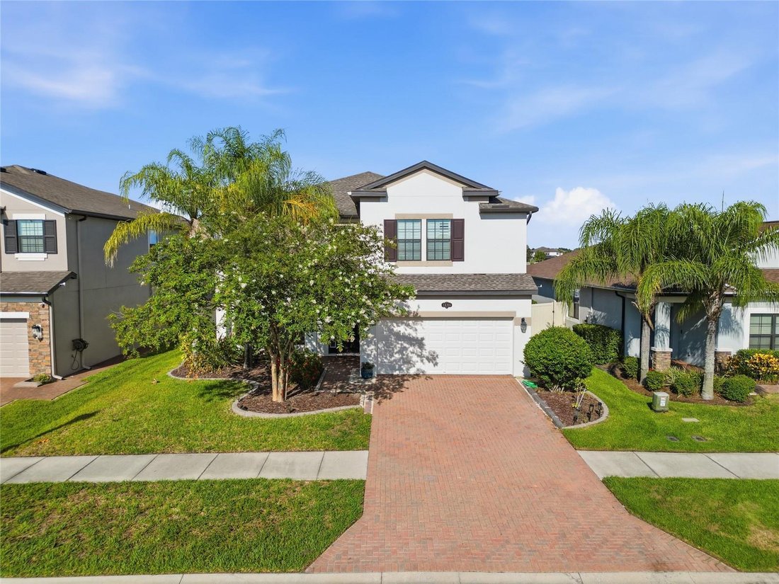 House in Land O' Lakes, Florida, United States 2 - 18395621