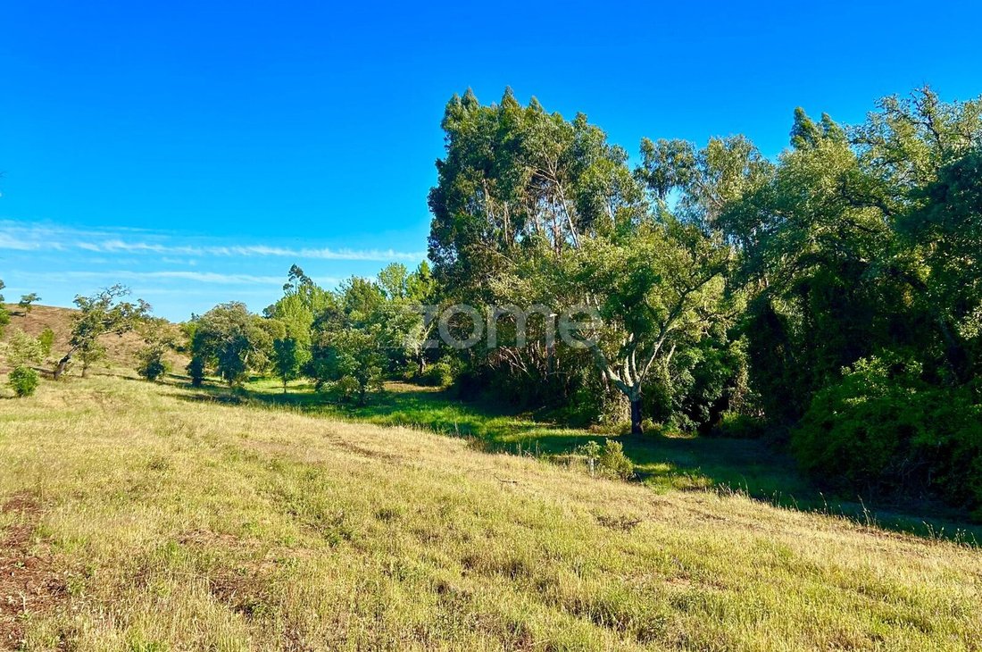 Land in Santiago do Cacem, Santa Cruz e Sao Bartolomeu da Serra, Setubal, Portugal 3 - 18396977