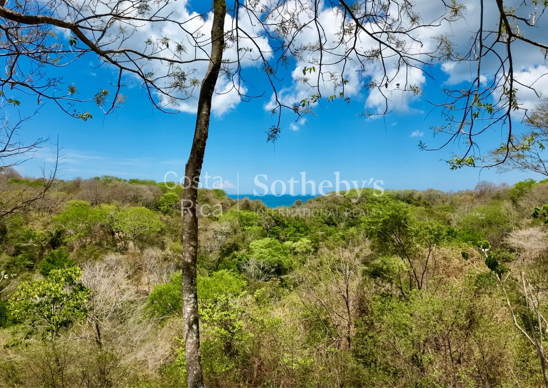 Land in Santiago, Puntarenas Province, Costa Rica 5 - 17802934