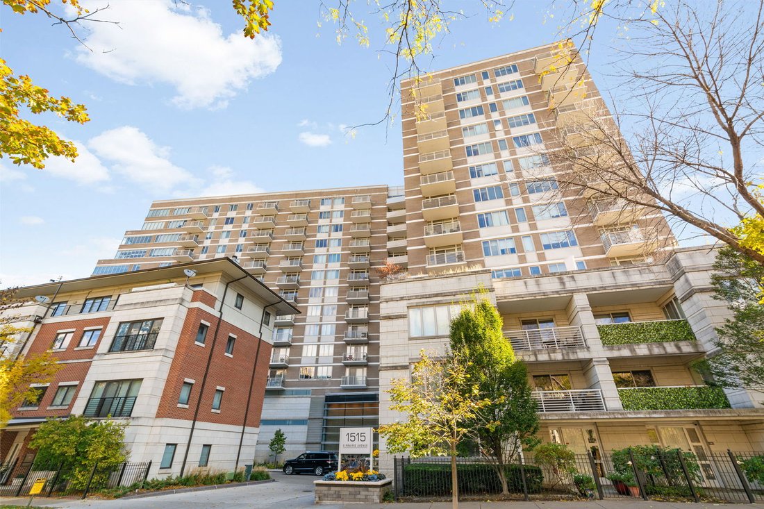 Condo in Chicago, Illinois, United States 1 - 18394702