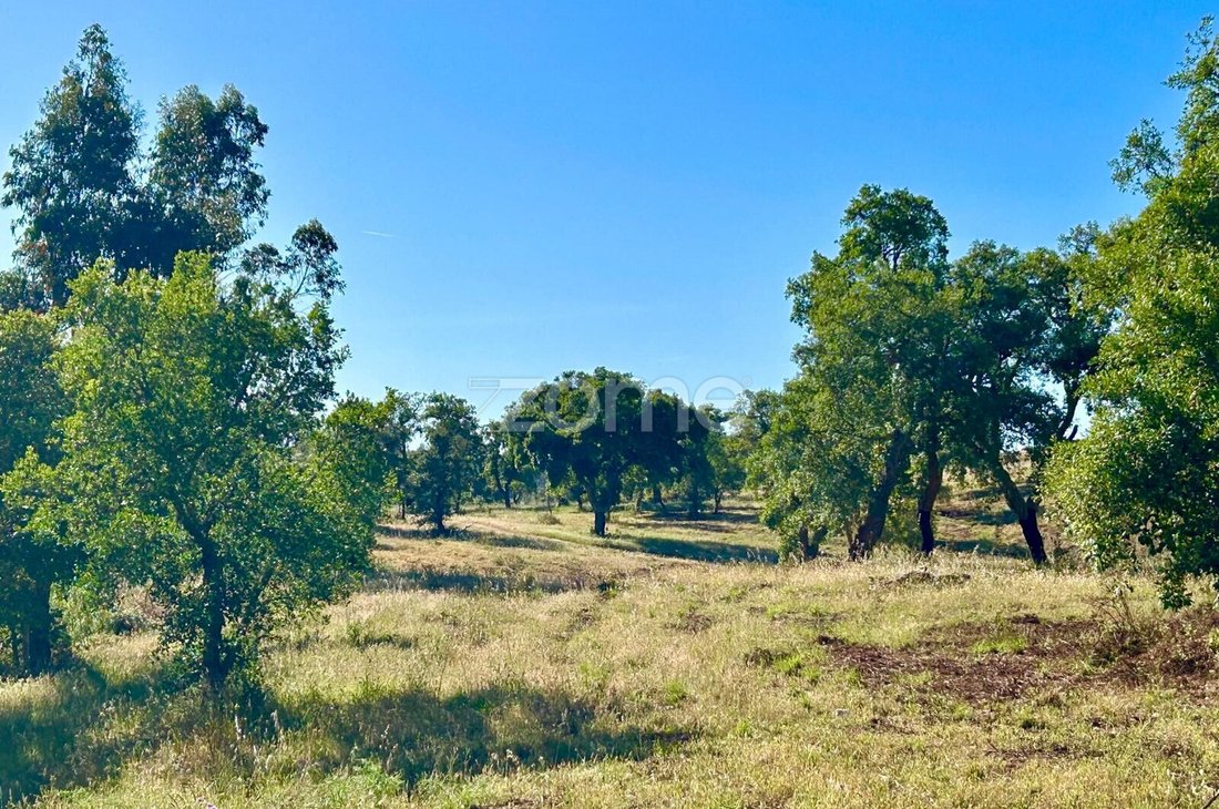 Land in Santiago do Cacem, Santa Cruz e Sao Bartolomeu da Serra, Setubal, Portugal 5 - 18396977