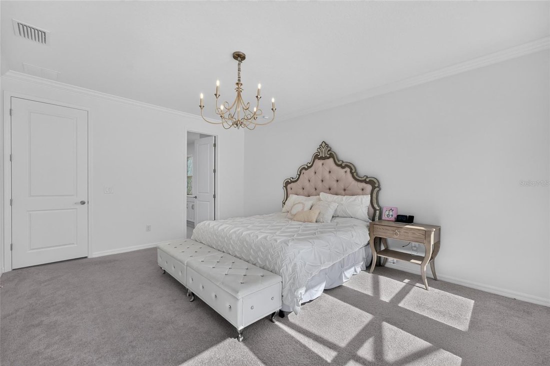 House in Zephyrhills, Florida, United States 4 - 18394978