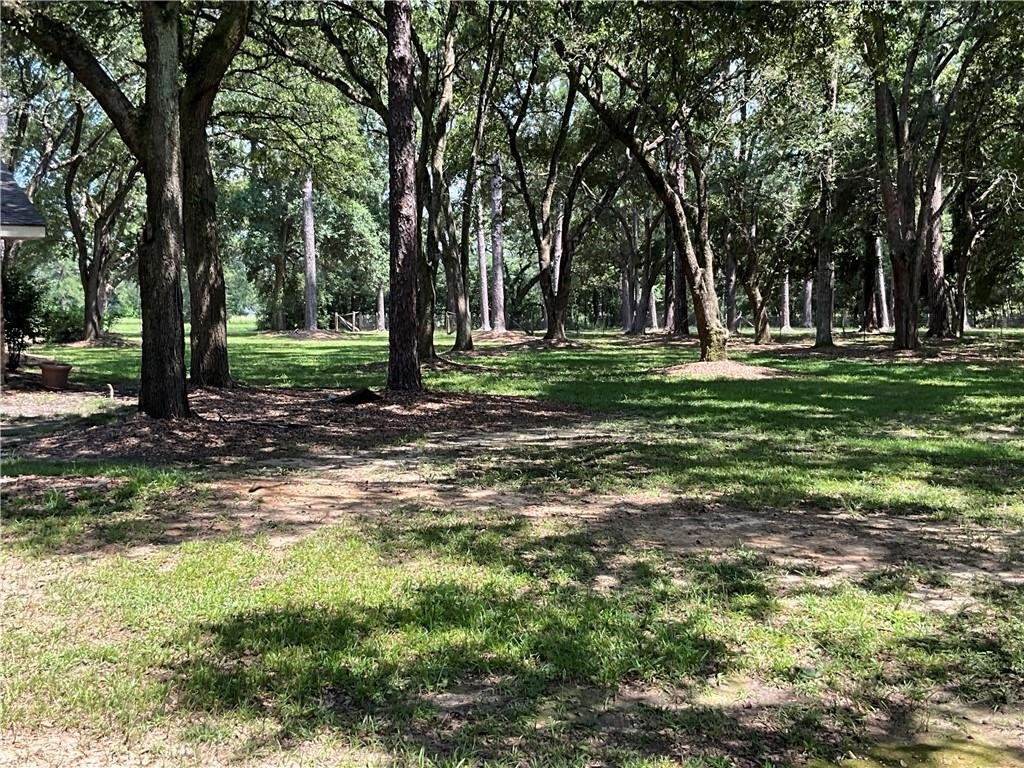 House in Covington, Louisiana, United States 4 - 18394582