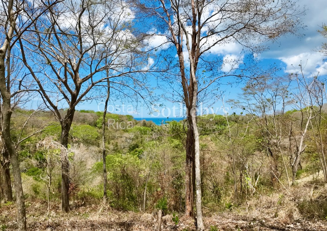 Land in Santiago, Puntarenas Province, Costa Rica 4 - 17802934