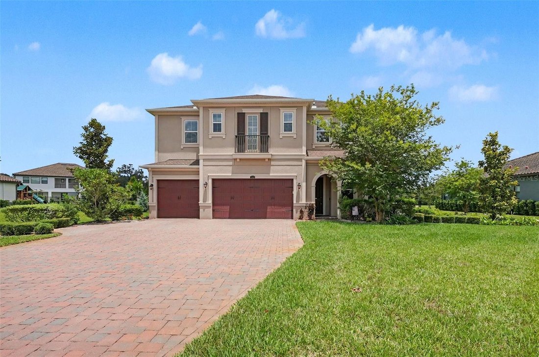 House in Lutz, Florida, United States 1 - 18395102