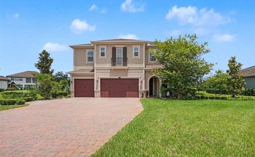 House in Lutz, Florida, United States 1