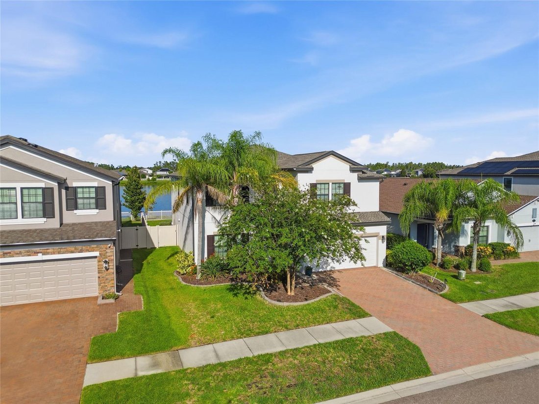 House in Land O' Lakes, Florida, United States 3 - 18395621