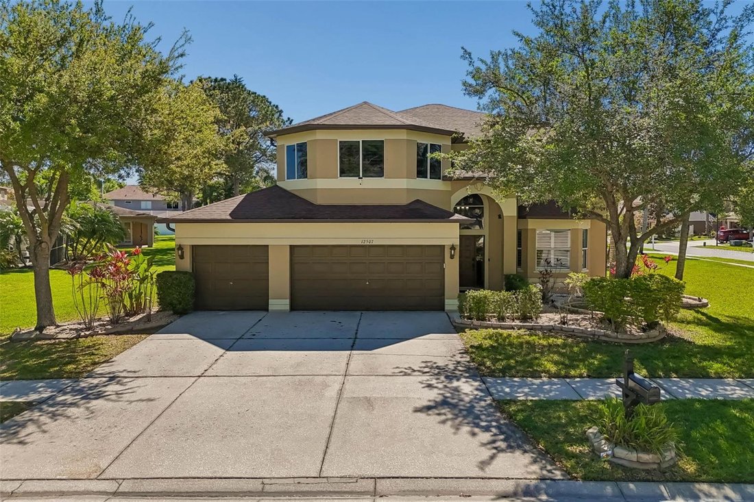 House in Odessa, Florida, United States 1 - 18395037