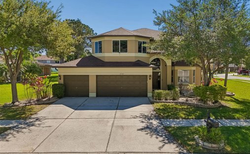 Casa a Odessa, Florida, Stati Uniti 1
