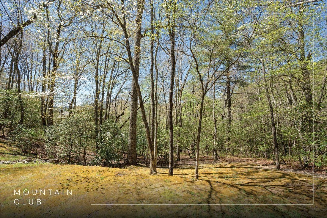 Haus in Cashiers, North Carolina, Vereinigte Staaten 5 - 18390567