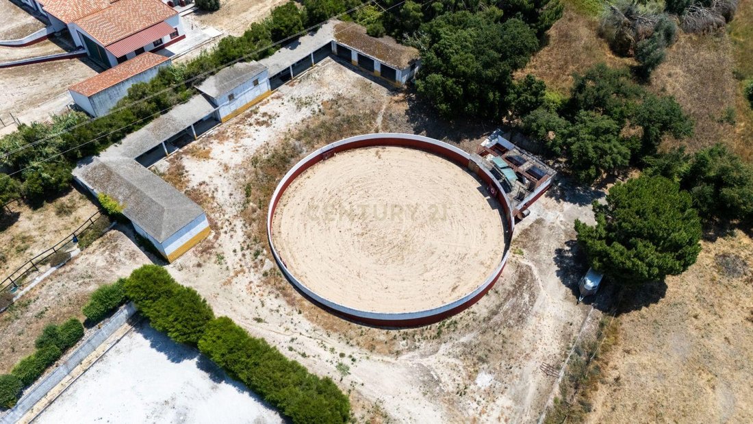 Farm Ranch in Santo Estevao, Santarem District, Portugal 4 - 18396171