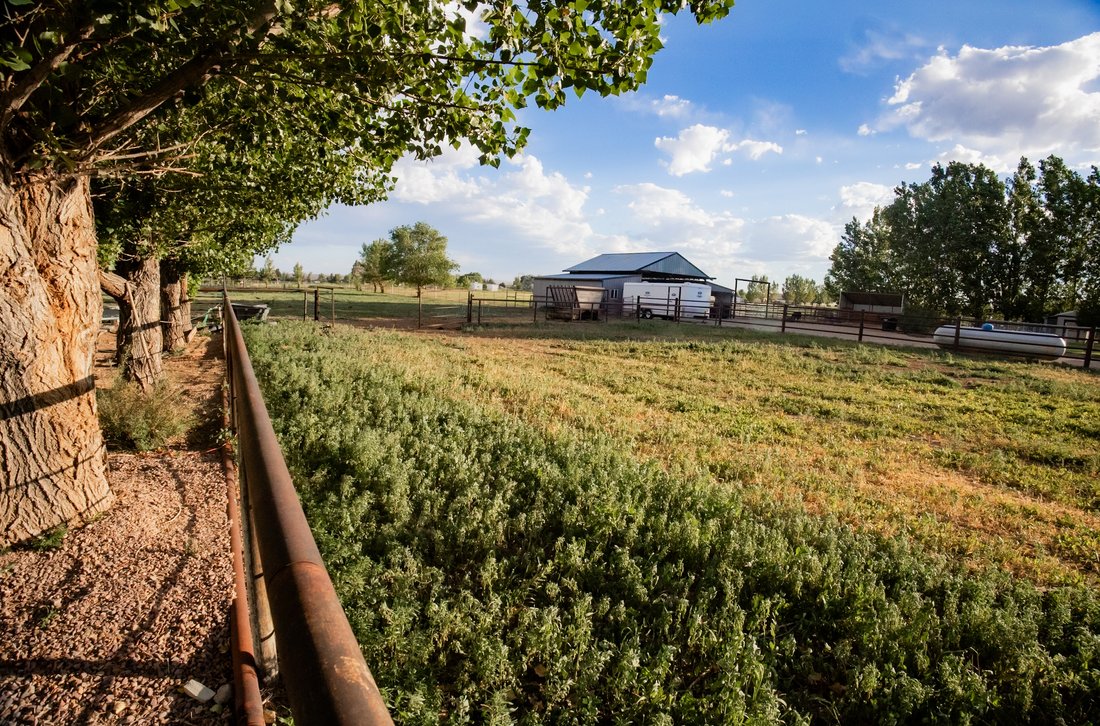 House in Neola, Utah, United States 3 - 18393370
