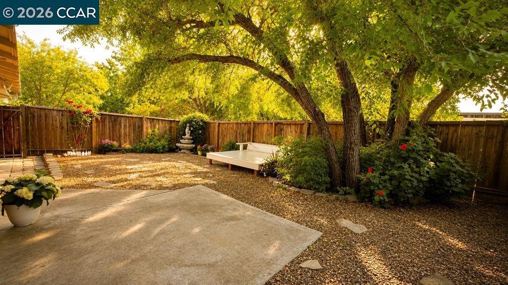 Walnut Creek, California, United States 2 - 18390459