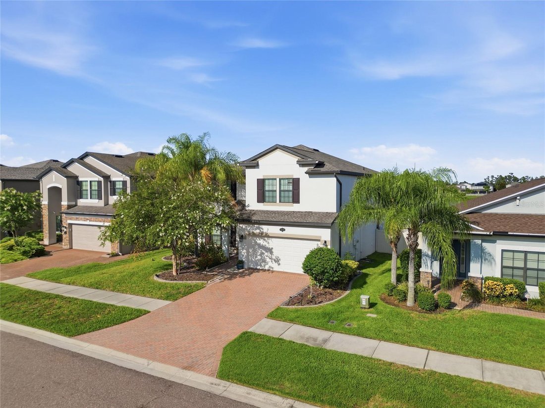 House in Land O' Lakes, Florida, United States 4 - 18395621
