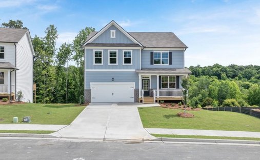 House in Braselton, Georgia, United States 1