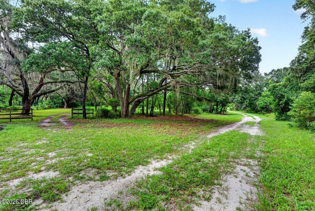 House in De Leon Springs, Florida, United States 5 - 18394747