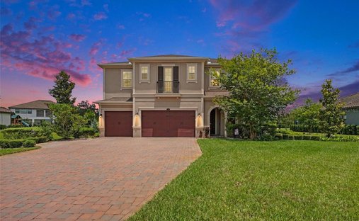 House in Lutz, Florida, United States 1