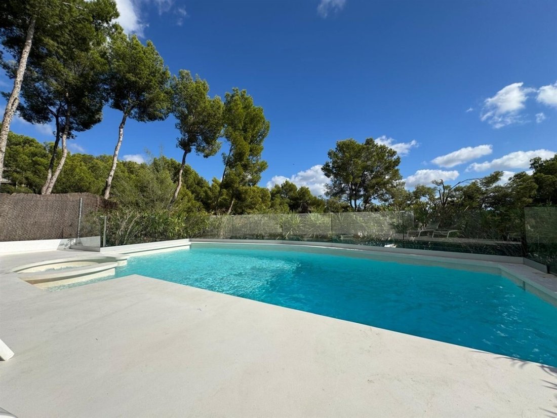Villa in Calvia, Balearic Islands, Spain 3 - 18392595
