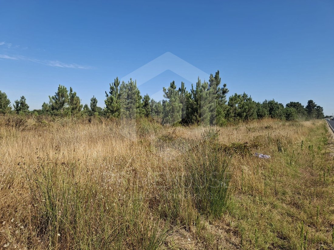 Land in Poceirao e Marateca, Setubal, Portugal 5 - 18393157