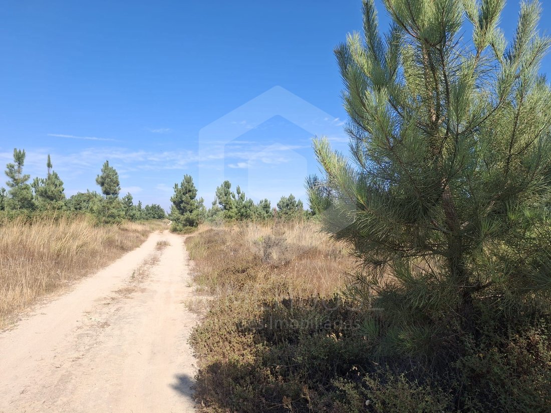 Land in Poceirao e Marateca, Setubal, Portugal 2 - 18393157