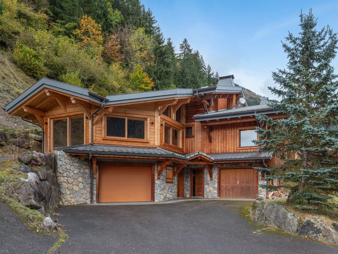 Chalet in Châtel, Auvergne-Rhône-Alpes, France 1 - 18396967