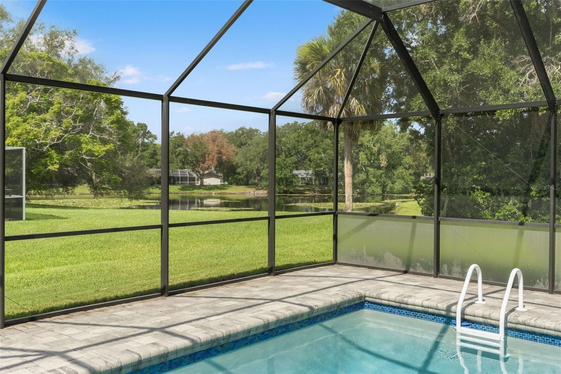 House in Tampa, Florida, United States 2 - 18394868