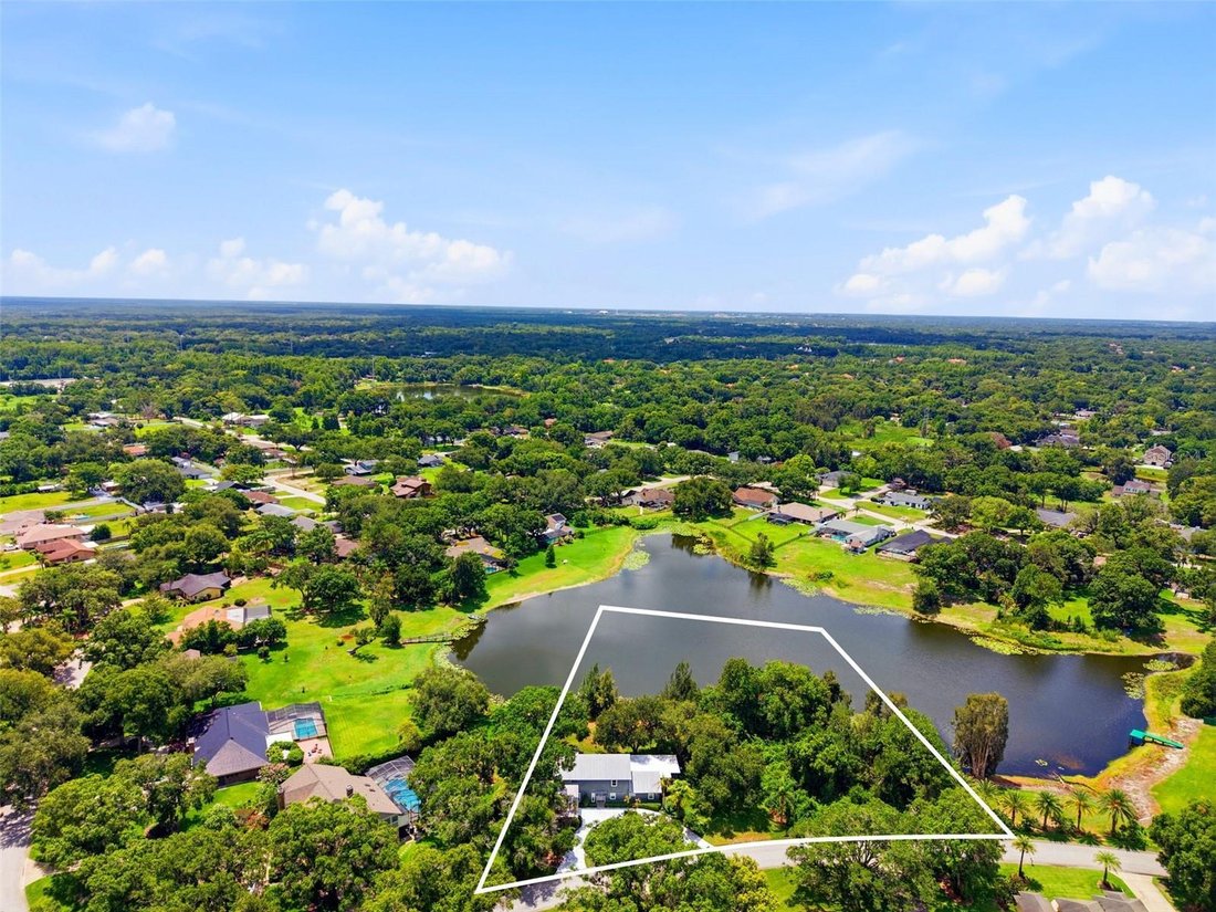 House in Lutz, Florida, United States 1 - 18395123