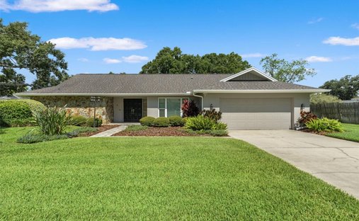 Maison à Tampa, Floride, États-Unis 1