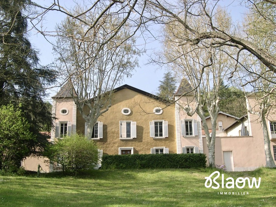 Chateau in Canal, Givors, France 1 - 18398084