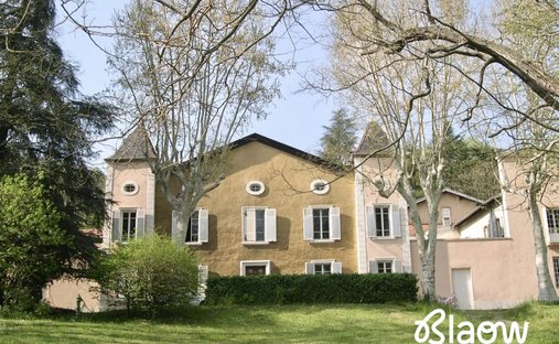 Chateau in Canal, Givors, France 1