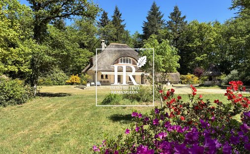 Casa a Pierrefitte-sur-Sauldre, Centro-Val della Loira, Francia 1
