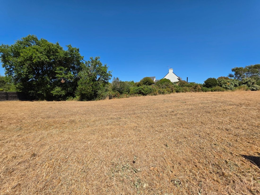 Land in Saint-Philibert, Brittany, France 4 - 18397983